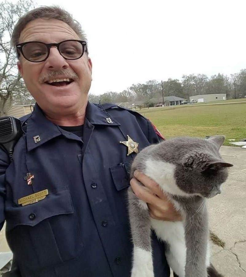 Un chat était coincé dans la porte - louons le policier qui, d'une main prudente, a réussi à le libérer