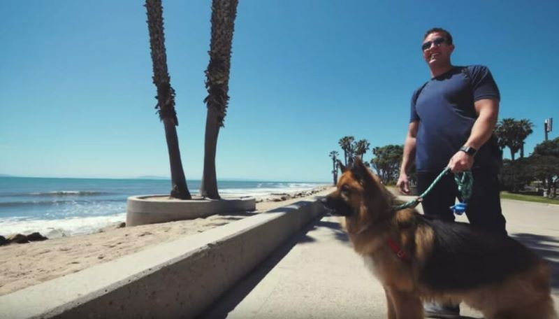  Un chien sauvé après 5 ans de chaîne : regardez sa réaction lorsqu'il voit la mer pour la première fois !