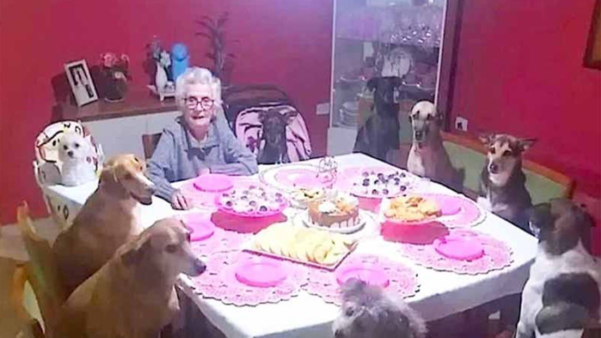 Une femme fête ses 89 ans entourée de ses 10 chiens bien-aimés