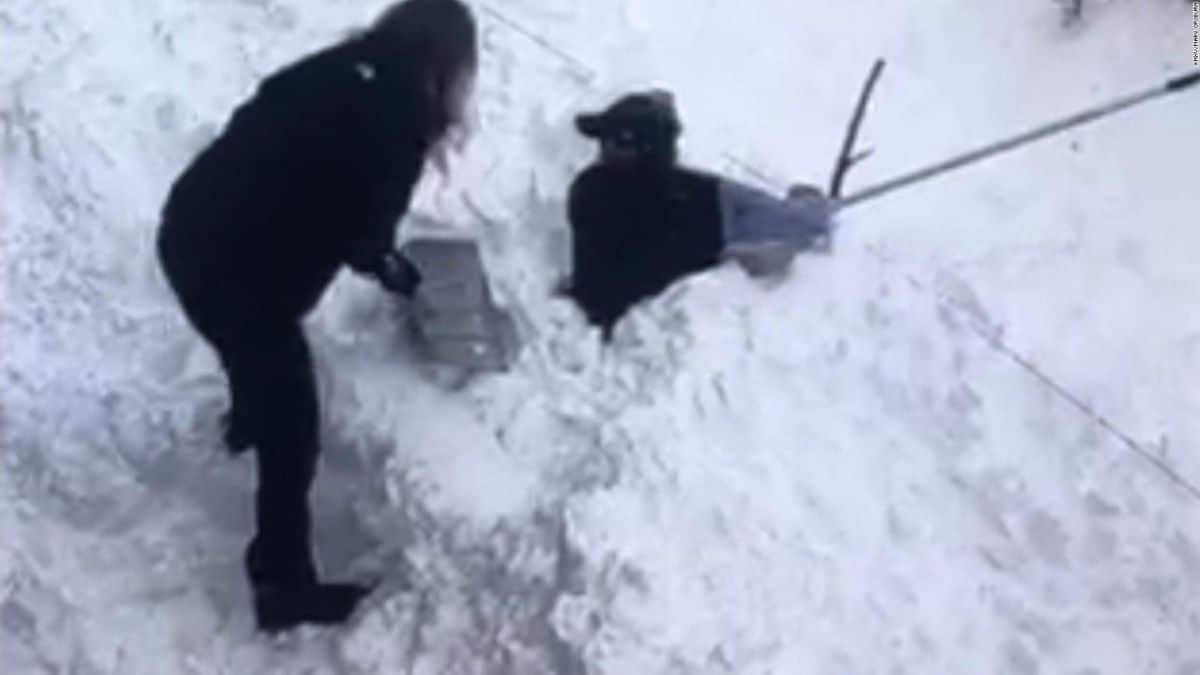 Vidéo : Elle filme un animal recouvert de neige, les internautes sont terrifiés lorsqu'ils découvre de quel animal il s'agit