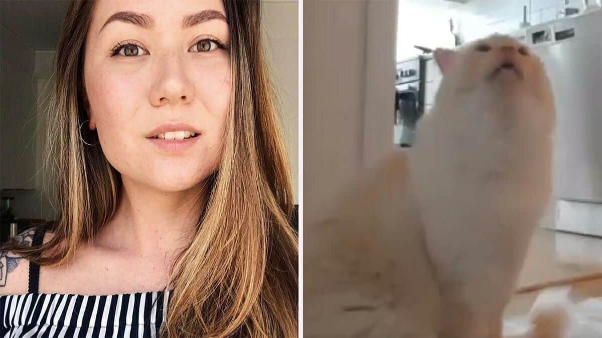 Vidéo : Une femme enregistre son chat lorsqu'elle n'est pas à la maison. Après avoir vu sa tristesse, elle ne peut plus le laisser seul