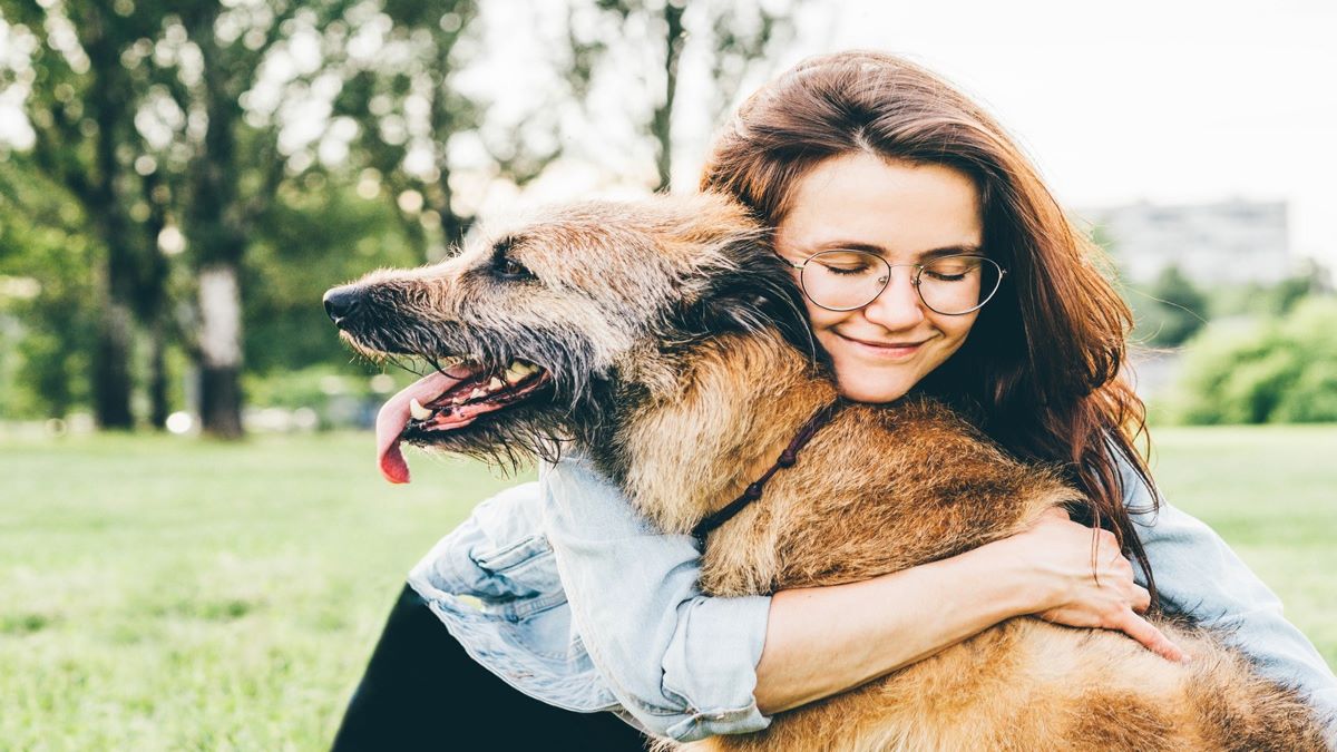 Voici ce que vit votre chien lorsque vous lui faites des câlins