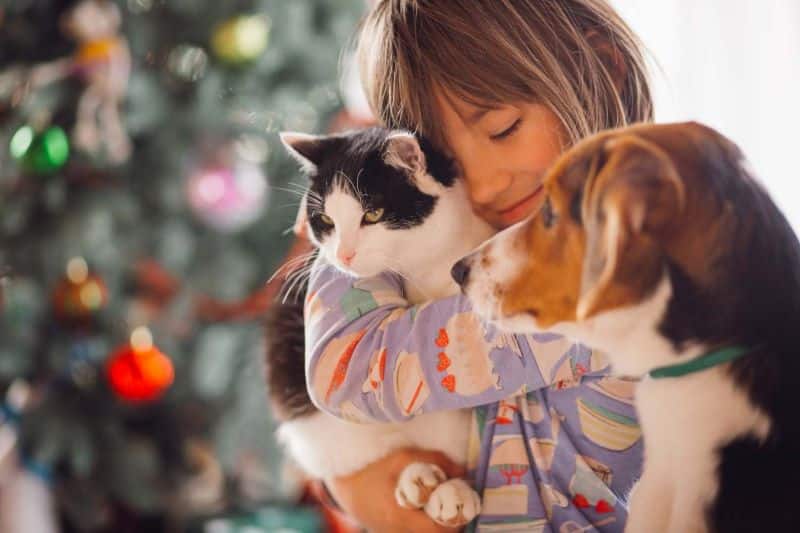 5 idées pour montrer votre amour à votre chien ou votre chat, selon les experts