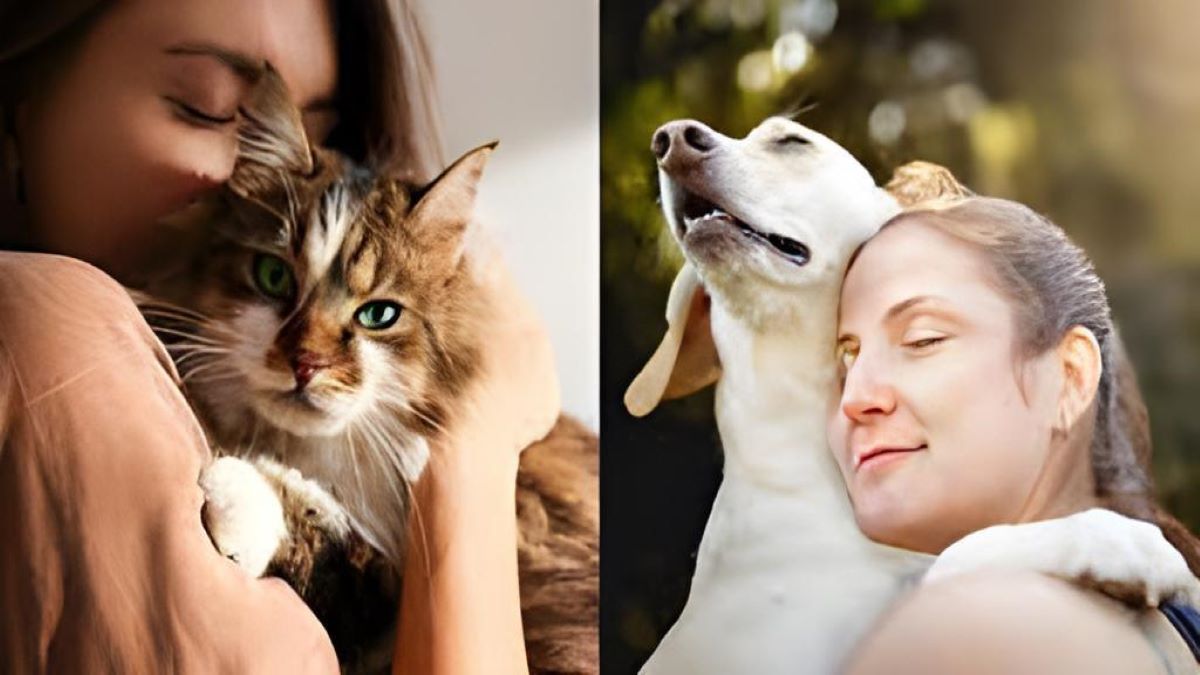5 idées pour montrer votre amour à votre chien ou votre chat, selon les experts