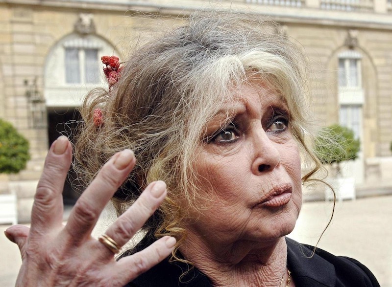 Brigitte Bardot, la diva des animaux victime d'une infection redoutable