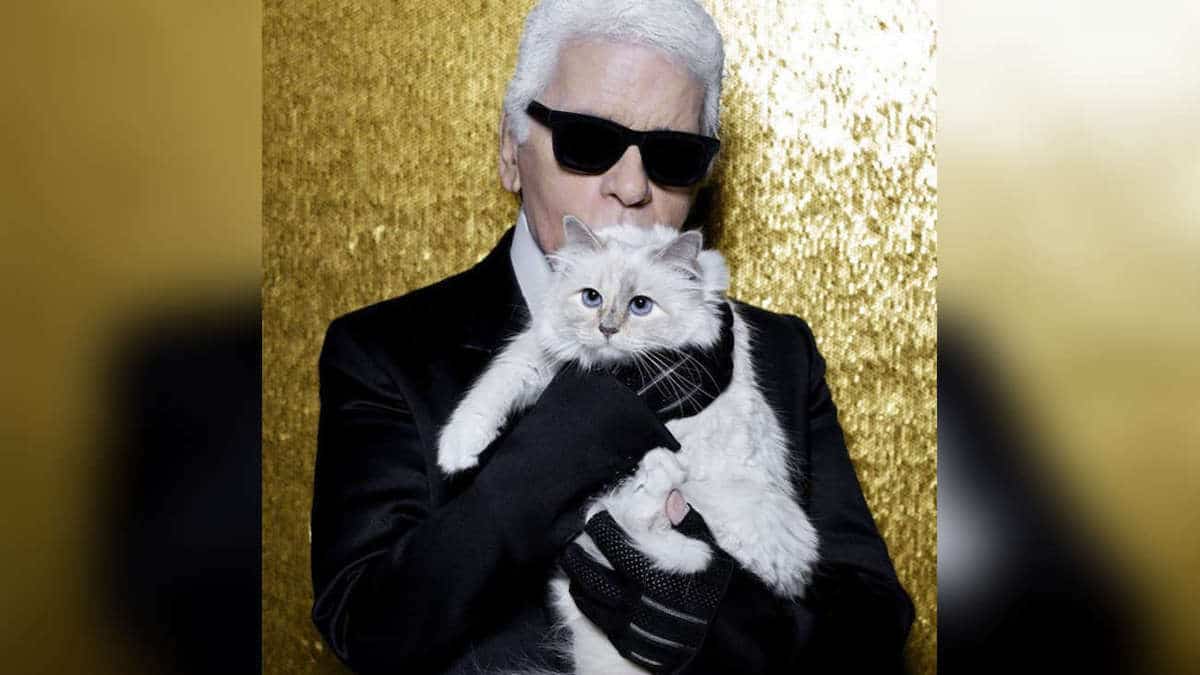 Voici la vie luxueuse de Choupette, la chatte héritière de la fortune de Karl Lagerfeld