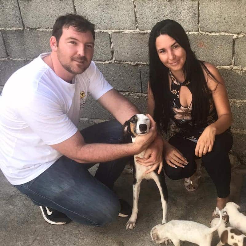 Cette chienne a été retrouvée abandonnée dans un sac clos avec ses petits. Sauvés et examinés, ces animaux ont besoin d'un nouveau départ.