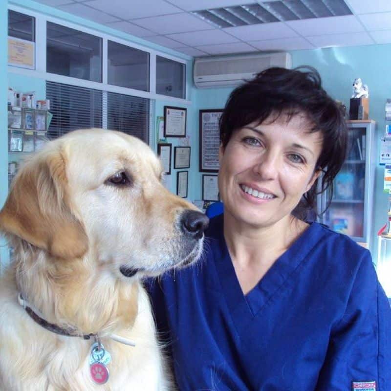 Un vétérinaire lance un appel aux propriétaires qui euthanasient leurs chiens et leurs chats