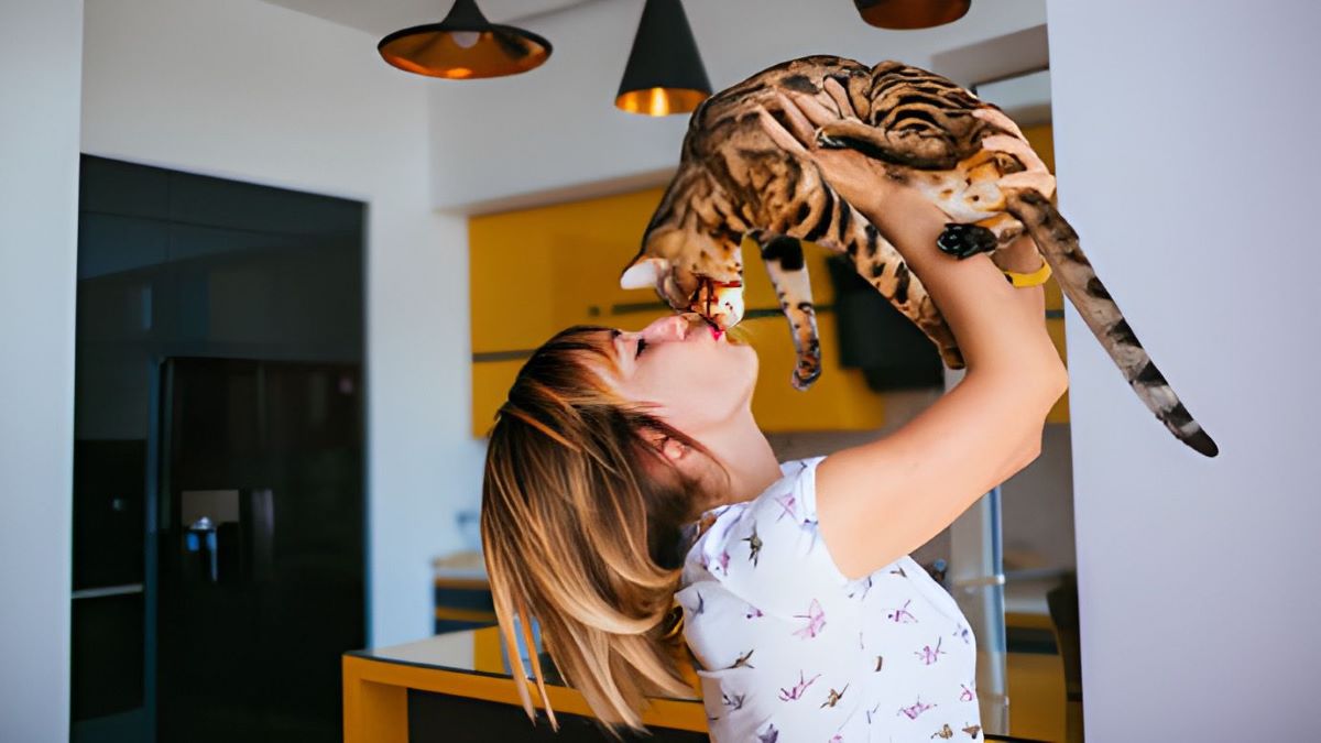 Les chats, transmettent-ils vraiment autant de maladies qu'on le dit ?