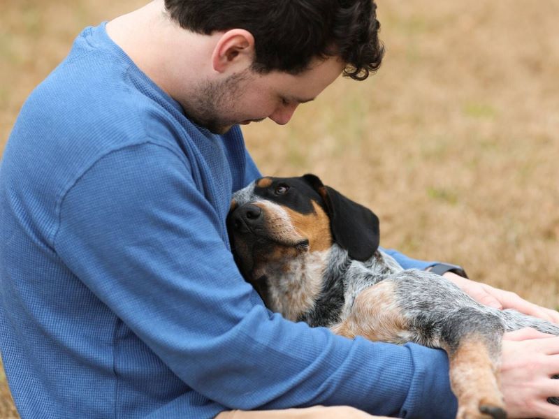 Les chiens savent quand leur maître est (ou va tomber) malade