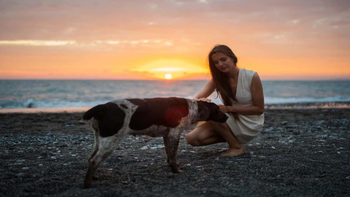 Les chiens savent quand leur maître est (ou va tomber) malade