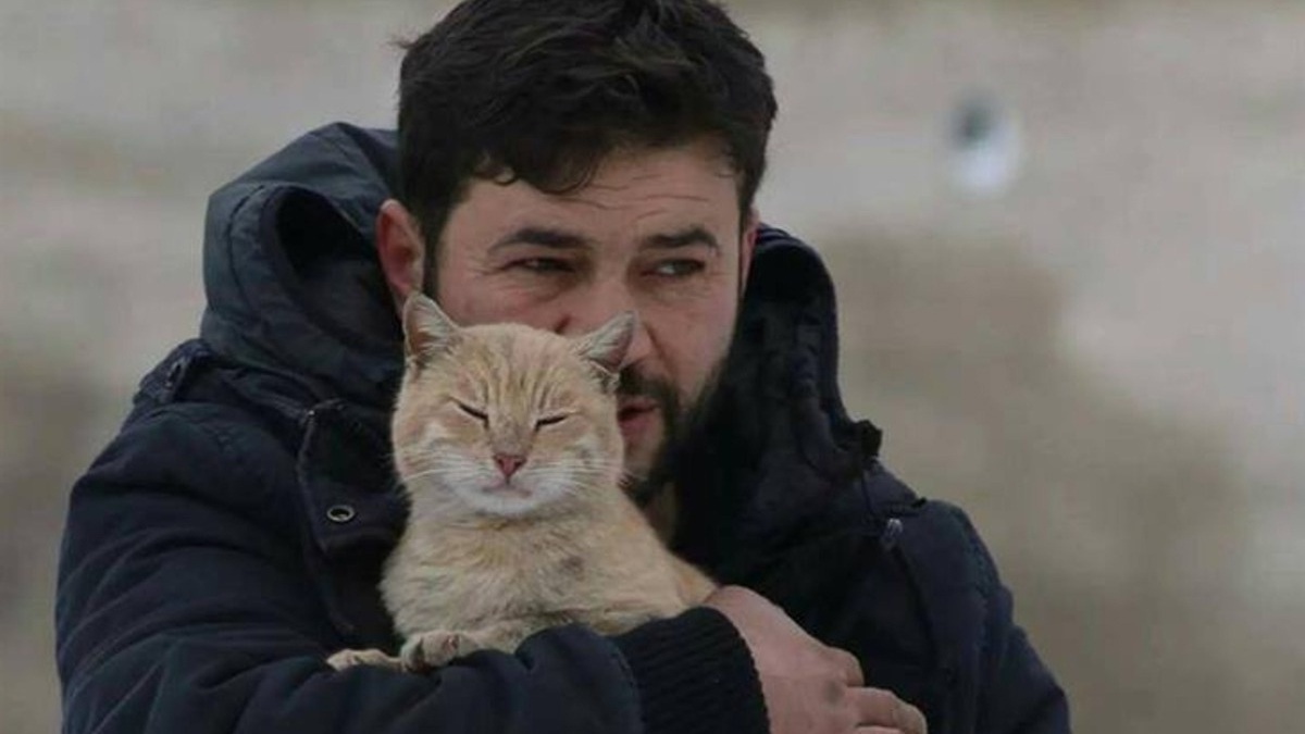L’homme à chats d’Alep œuvre pour sauver les animaux dévastés par les séismes en Syrie