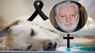 Paco Rabanne meurt 3 jours après l'opération de son chien