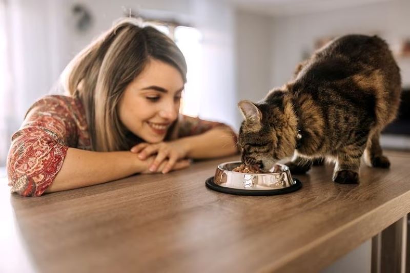 Signes permettant de savoir si un chat est vraiment heureux