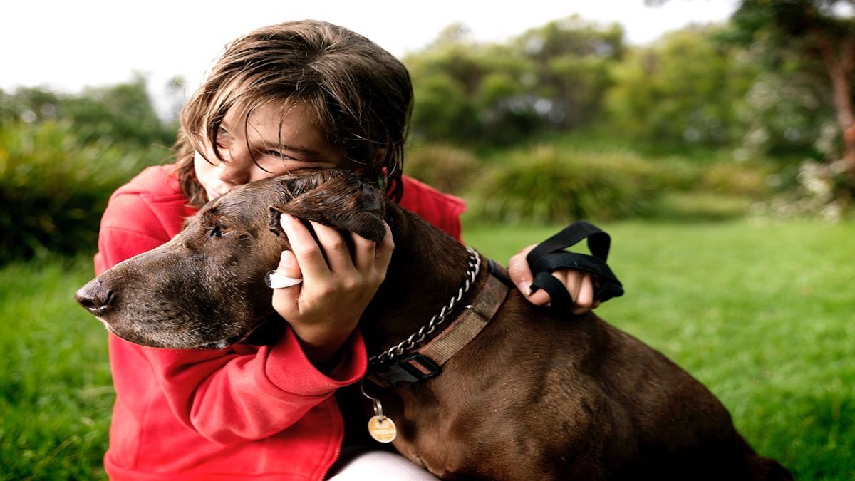 Soyez attentif aux signes que les chiens donnent lorsqu'ils sont effrayés et se sentent en danger