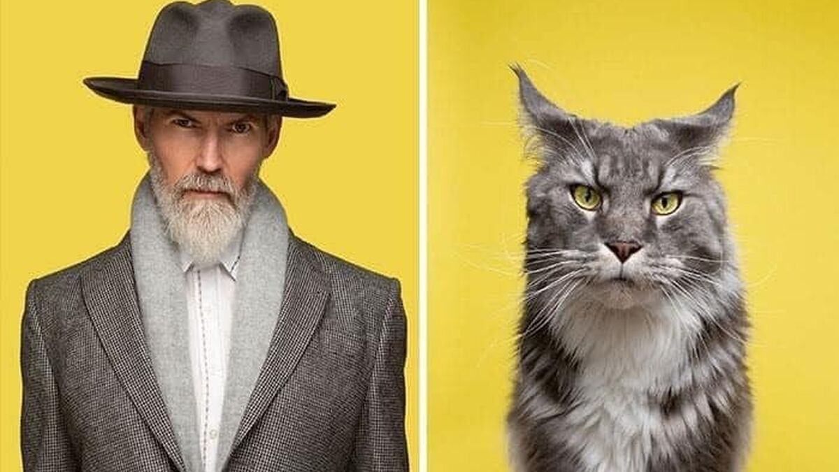 Un homme photographie des chats avec leurs propriétaires et le résultat est incroyable