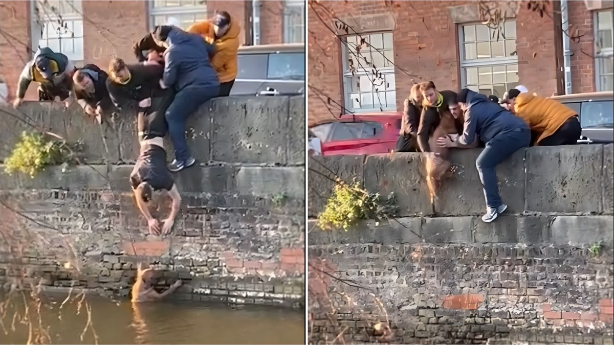 Un chien tombe dans un canal, 7 jeunes unissent leurs forces pour le sauver (Vidéo)