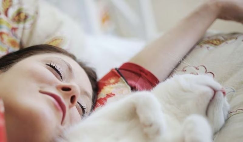 Voici la maladie que vous pourriez contracter si vous dormez avec un chat tous les jours