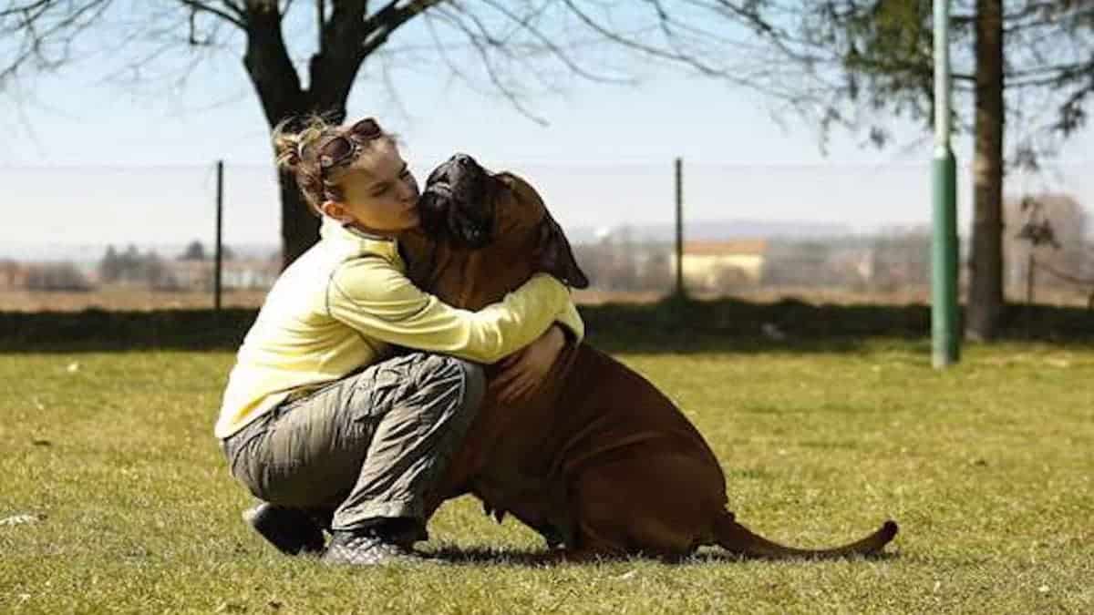 Voici les risques si vous laissez des chats et des chiens vous lécher le visage