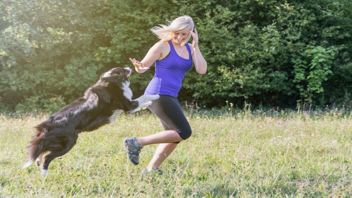 Voici pourquoi certains chiens sautent sur les gens pour les saluer