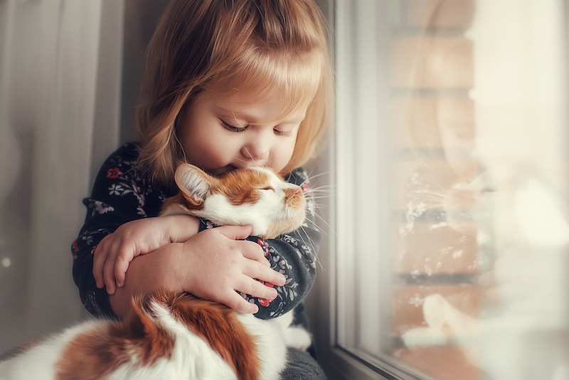 Voici pourquoi les chats choisissent une personne de la famille comme préférée