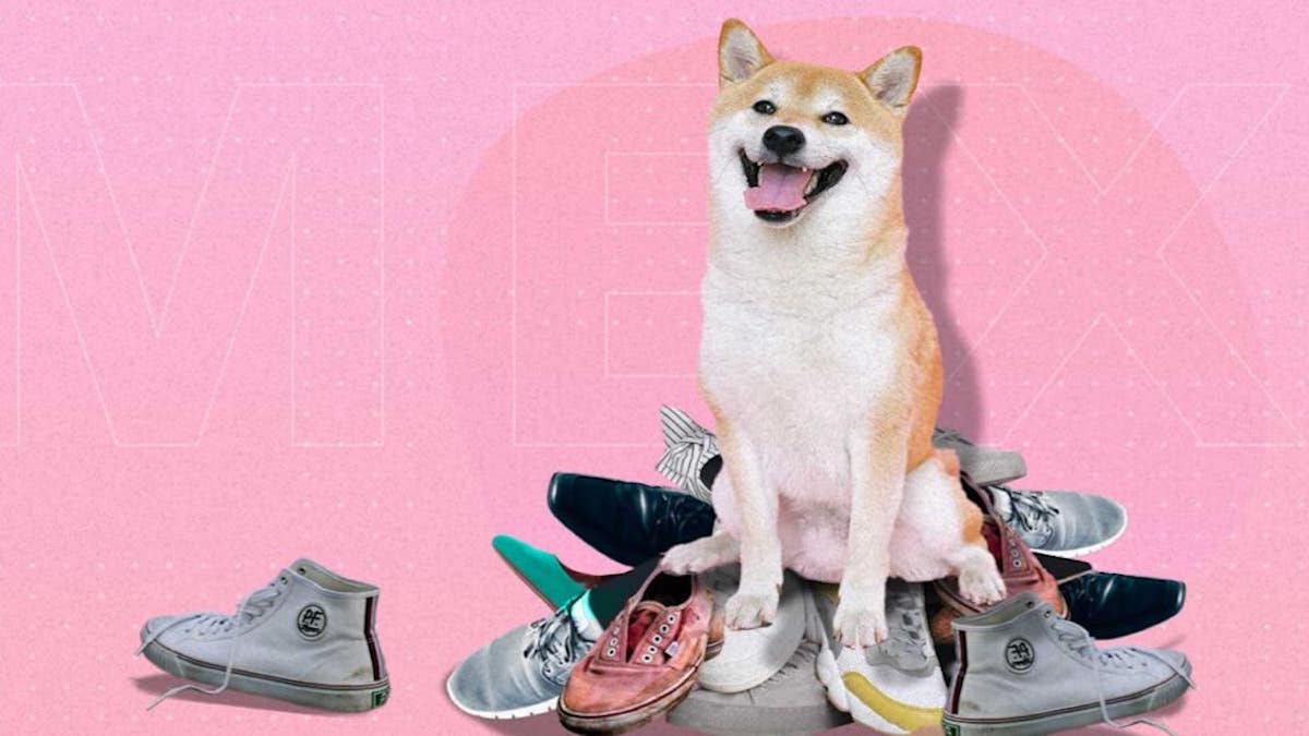 Voici pourquoi votre chien préfère vos chaussures à ses jouets