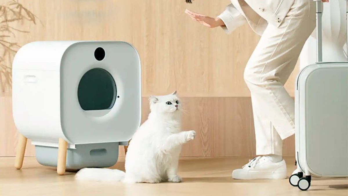 Xiaomi lance sa nouvelle litière intelligente pour chats