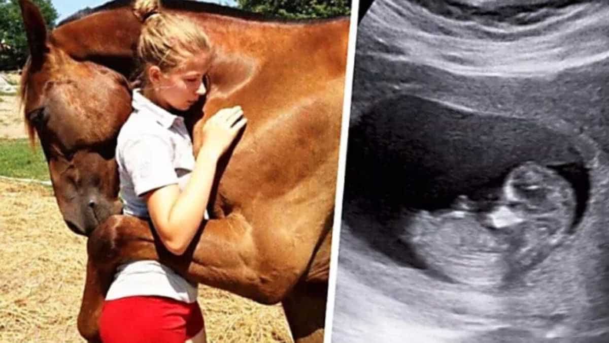Ce cheval enlace sa propriétaire enceinte, le docteur voit l’échographie et appelle la police