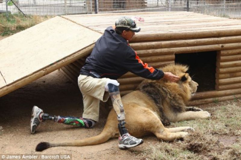Ce que ce chien a fait dans la cage du lion a choqué tout le monde