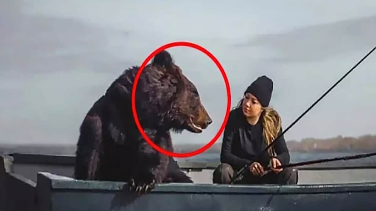 Cet ours et cette femme sont inséparables, un jour il a une réaction totalement inattendue