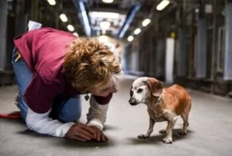 C'était le grand geste qu'un chien aveugle a fait à la première personne qui lui a montré son amour