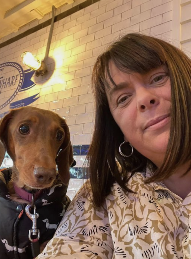 Cette chienne devait mourir sur un marché de viande canine, sa vie bascule à la dernière minute