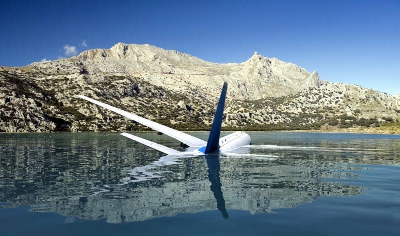 Des centaines d’oiseaux attaquent un avion, le pilote choqué quand il comprend la raison