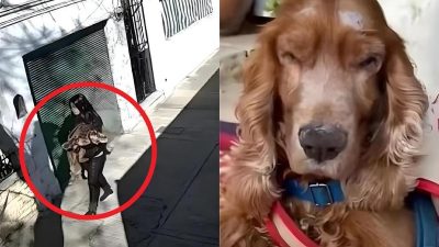 Elle est filmée par une caméra alors qu’elle abandonne son chien aveugle, une vidéo déchirante