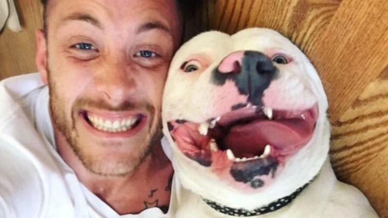La photo du chien en compagnie de son propriétaire est devenue virale ! La police est intervenue pour une raison surprenante !
