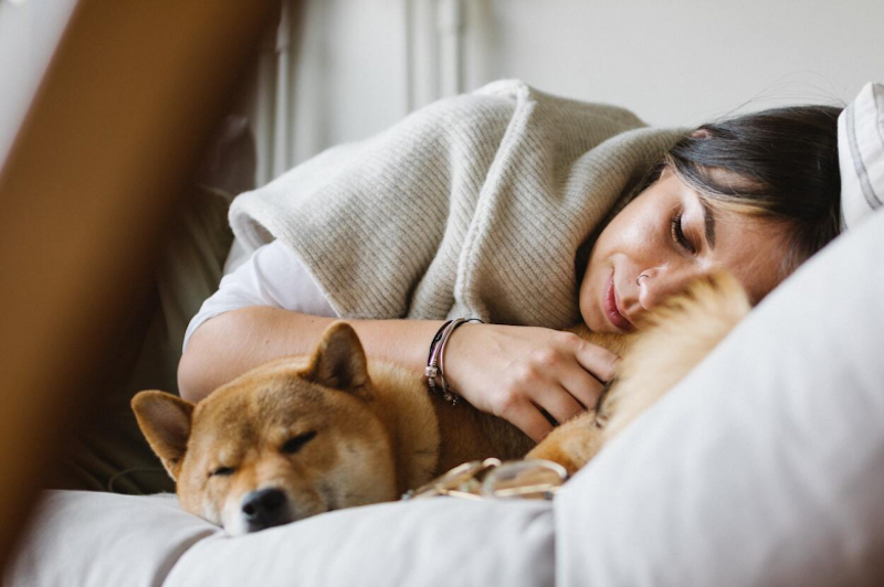 La présence d’un chien calme la douleur des personnes souffrantes selon une étude