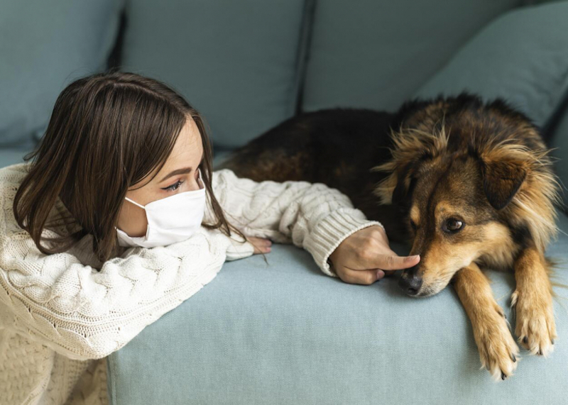 La présence d’un chien calme la douleur des personnes souffrantes selon une étude