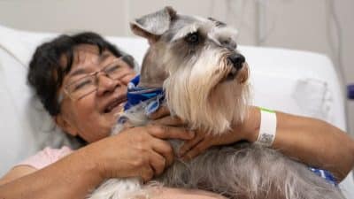 Ce chien rend visite à sa maîtresse hospitalisée et contribue à améliorer sa santé