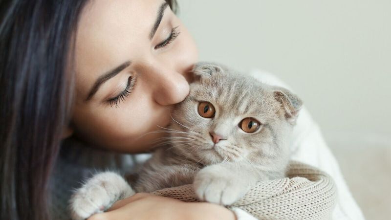 Les chats adorent-ils vraiment les câlins et les bisous ? Des experts répondent