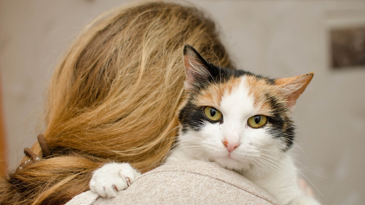 Pour subvenir aux besoins de ses 6 chats, cette femme sans emploi mange une fois par semaine