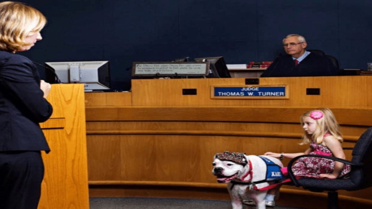 Un chien sourd change la vie d'une fille pour toujours