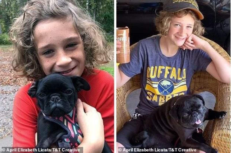 Une famille surprend un garçon à l'école en le réunissant avec son chien perdu (photos)