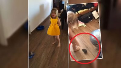 Elle pensait que sa fille jouait avec un "bébé lapin", mais il s'agissait d'un autre animal !