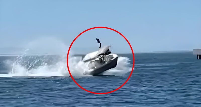 Vidéo, un bateau entre en collision avec une baleine, le pire est arrivé