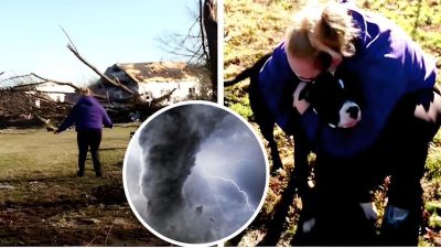 Vidéo incroyable de cette femme qui retrouve son chien après une terrible tornade