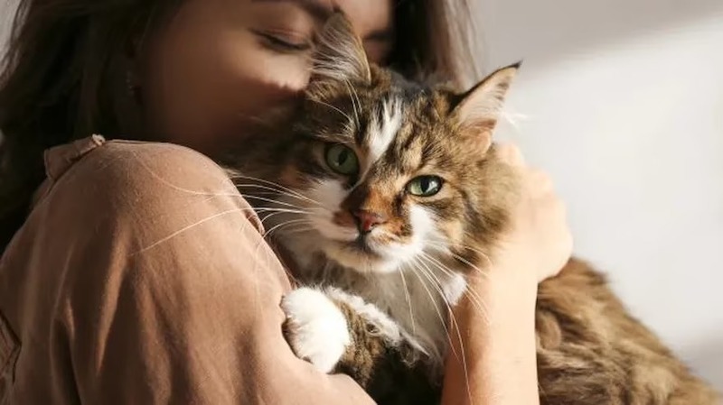 Vidéo : Le chat qui est devenu viral pour avoir bu de l'eau à un distributeur