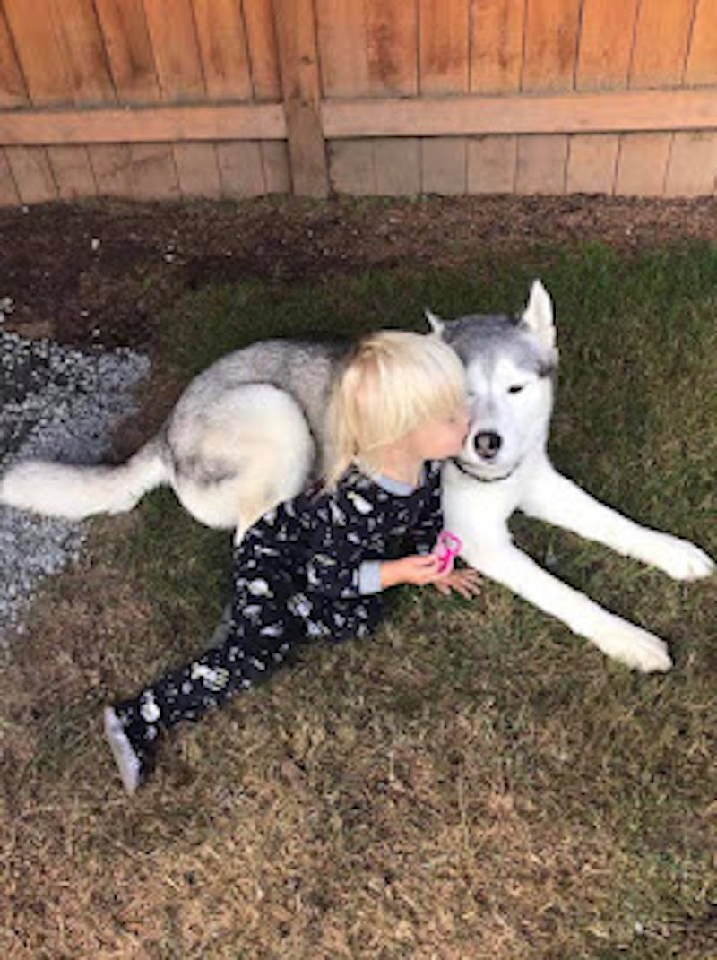 Vidéo : Moment où cette petite fille et son chien ont une incroyable "conversation"