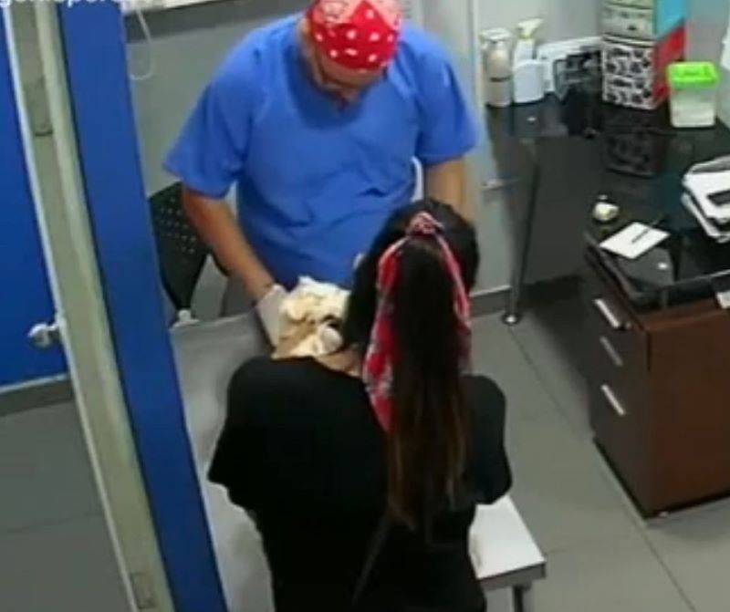 Vidéo, un chat attaque un vétérinaire qui a vacciné son compagnon chien