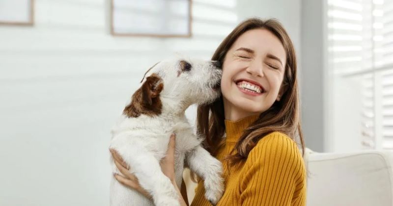 Voici les raisons pour lesquelles les chiens préfèrent les femmes