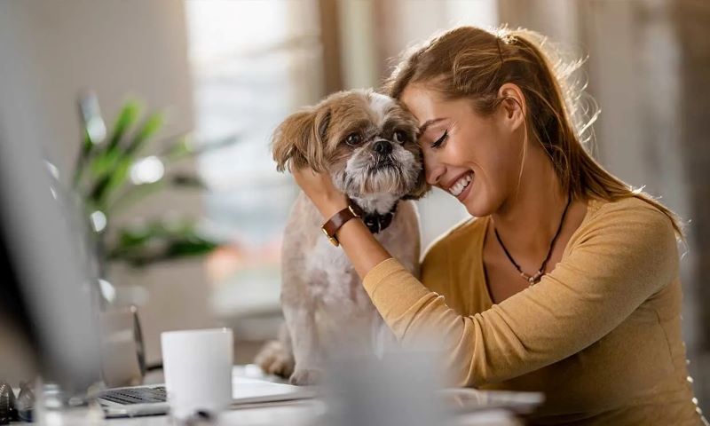 Voici les raisons pour lesquelles les chiens préfèrent les femmes